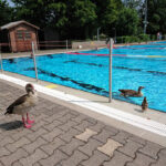 Usa-Wellenbad – Bad Nauheim