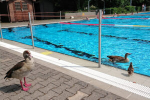 Usa-Wellenbad – Bad Nauheim