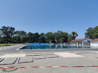 Waldschwimmbad Rosenhöhe - Offenbach am Main 1 AF1QipNoTYPBAWlgGI5dqVrxEW Iv9qBThxk4F1N7b5rw408 h306 k no