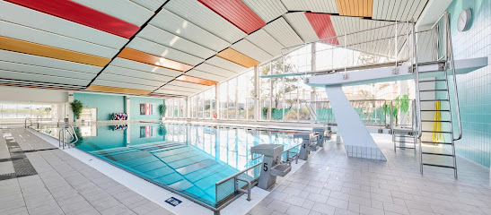 AF1QipNELulcptbMgbY6q5x1s FQpHcAg8d9SLyQJTsvw547 h240 k no