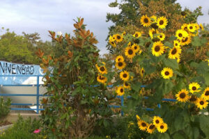 Sonnenbad – Karlsruhe