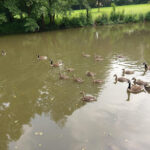 Parkbad Lindlar – Lindlar