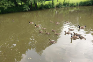 Parkbad Lindlar – Lindlar