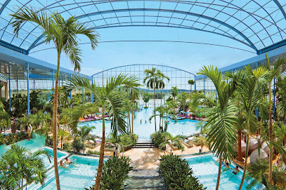 AF1QipOz9UfmRtO 0zaJuaOC0jpDO7BWjwoCV5IeTCMBw408 h271 k no