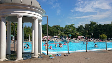 AF1QipPiulLR18 ixgEMbvDMoPf7fyZeeUPKdNsMmwYmw426 h240 k no