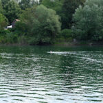 Schwimmverein Mannheim – Mannheim