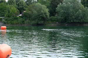 Schwimmverein Mannheim – Mannheim