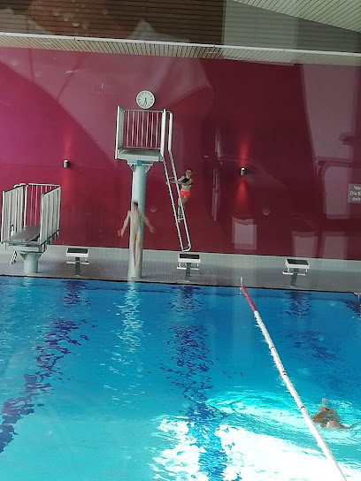 AF1QipMhnkQkKx H3O1xavljbkaEQGcBAGJEI5U7dyMww408 h544 k no